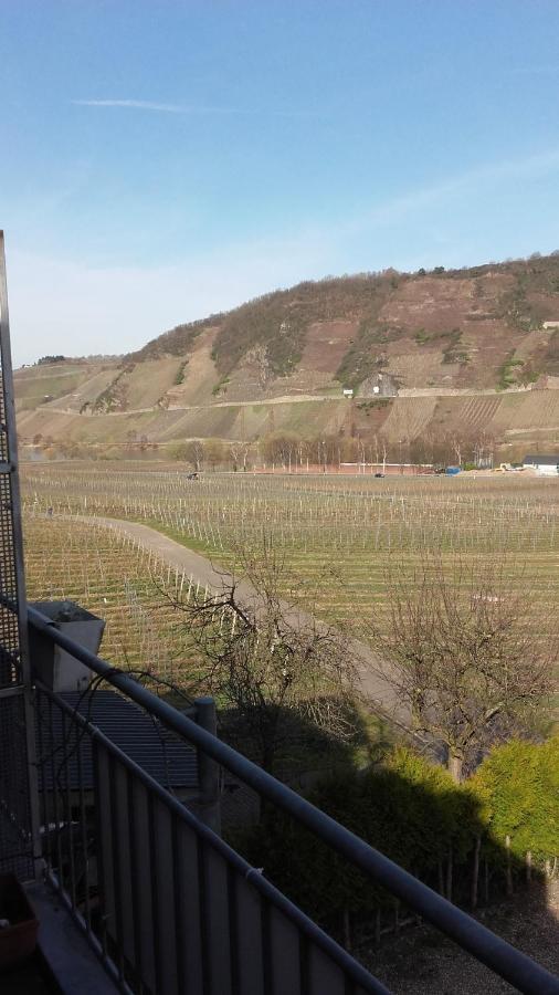 Gaestehaus Moselblick Panzió Trittenheim Kültér fotó