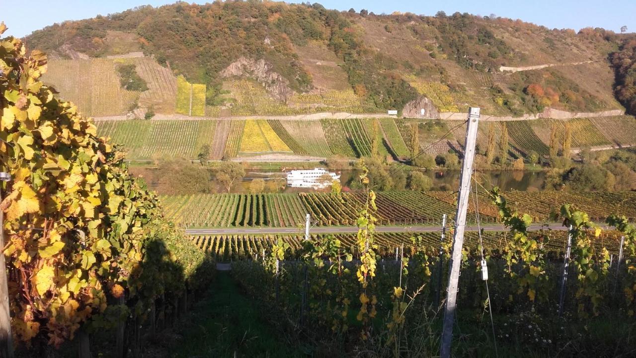 Gaestehaus Moselblick Panzió Trittenheim Kültér fotó