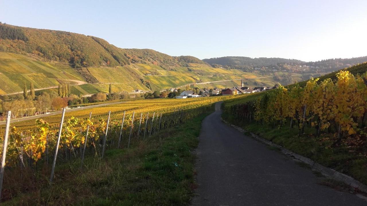 Gaestehaus Moselblick Panzió Trittenheim Kültér fotó