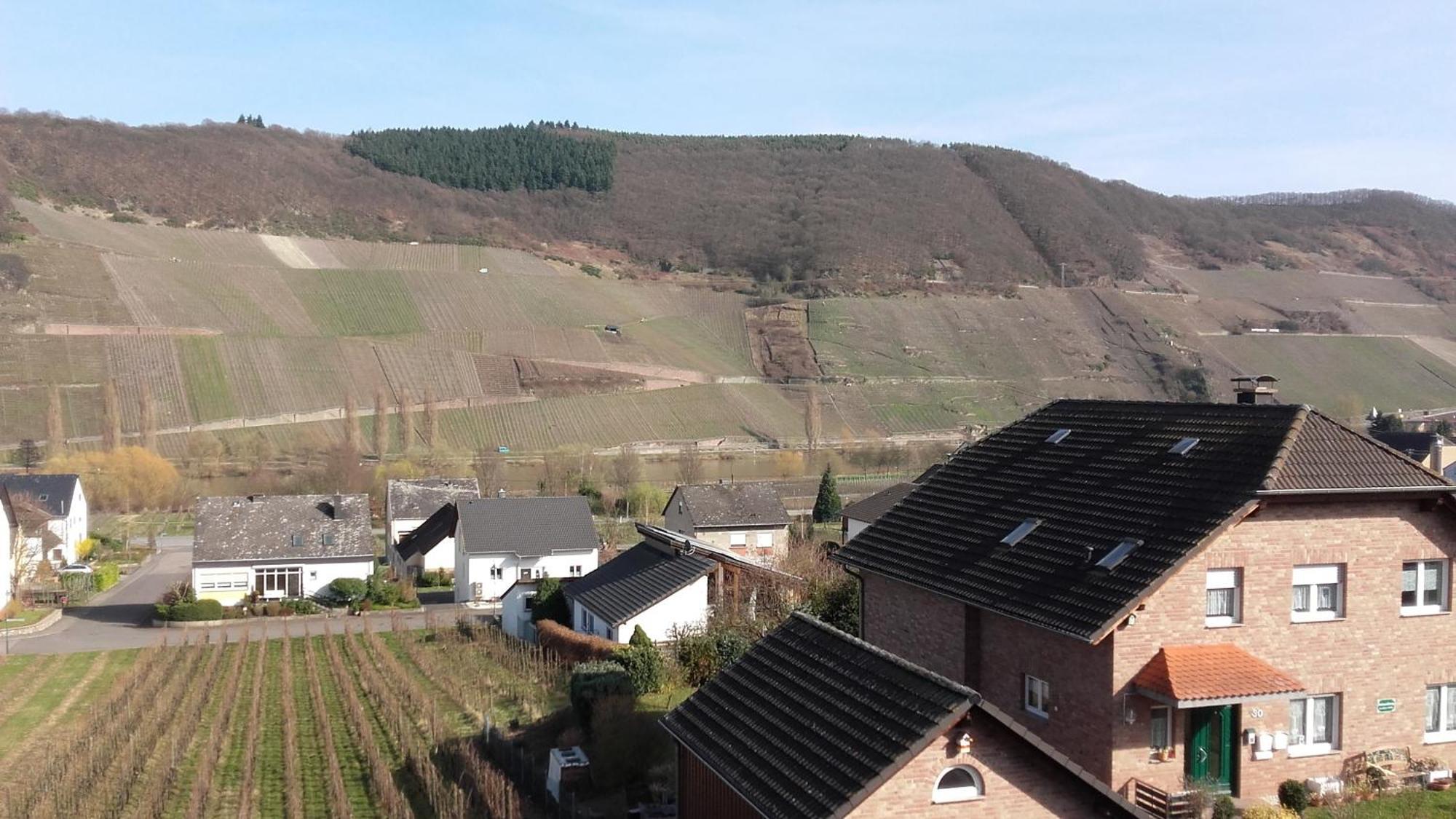 Gaestehaus Moselblick Panzió Trittenheim Kültér fotó