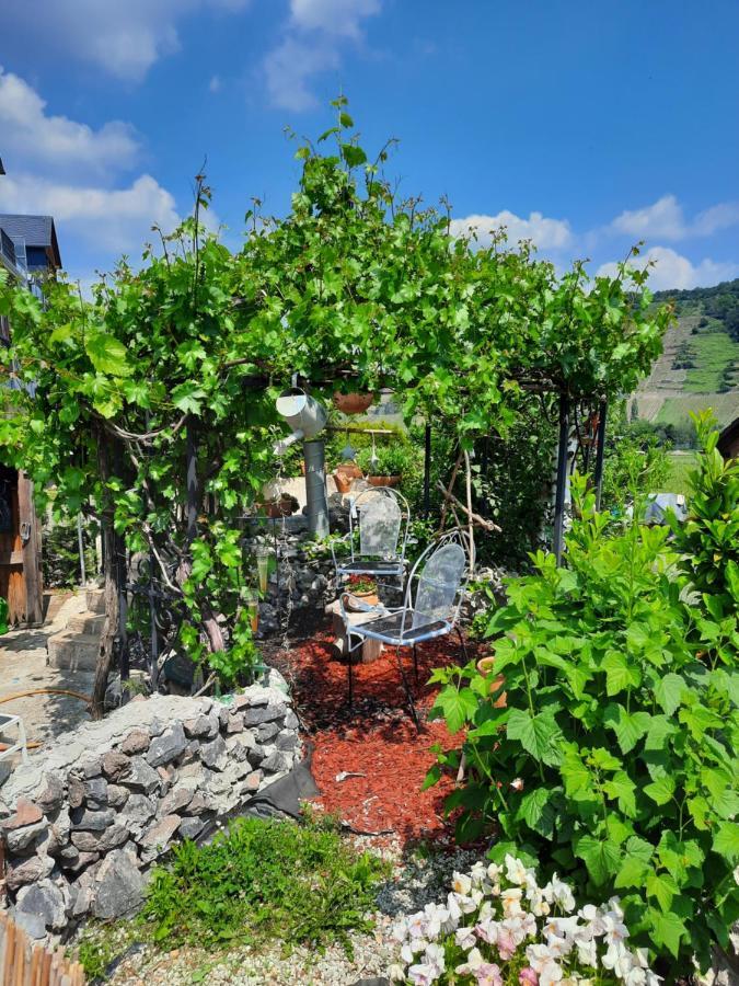 Gaestehaus Moselblick Panzió Trittenheim Kültér fotó